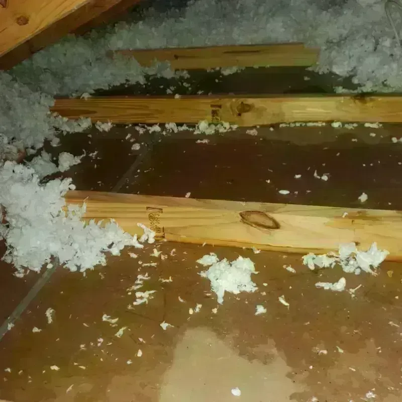 Attic Water Damage in Bronson, FL