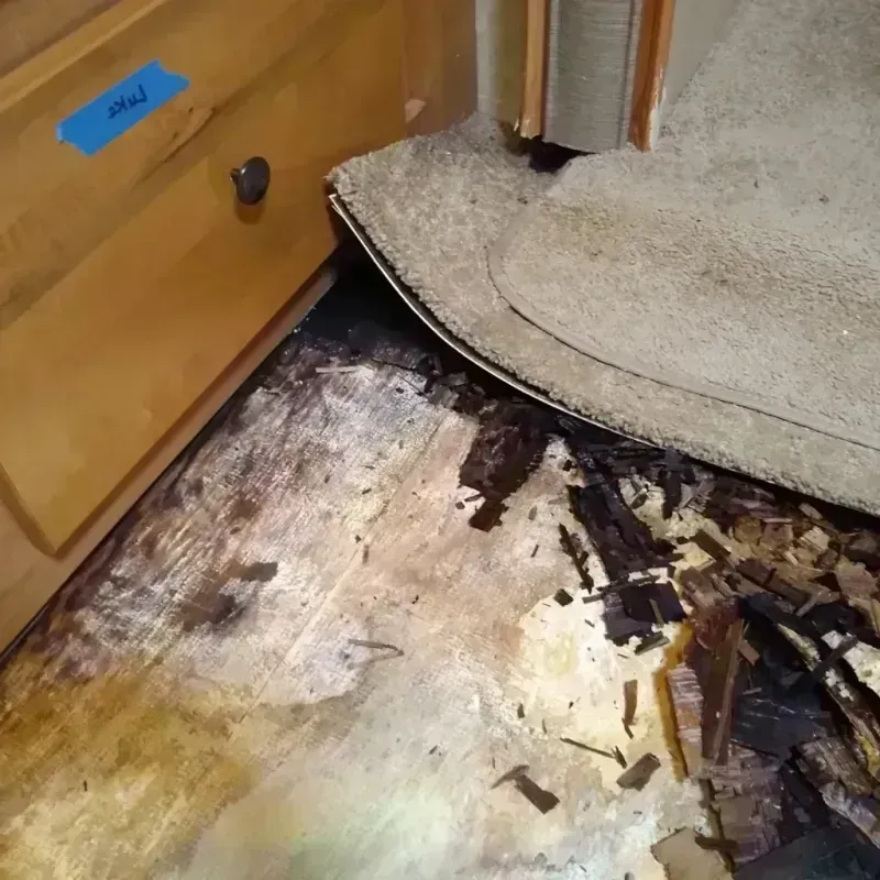 Wood Floor Water Damage in Bronson, FL